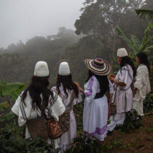 Bio Kolumbien: Sierra Sagrada